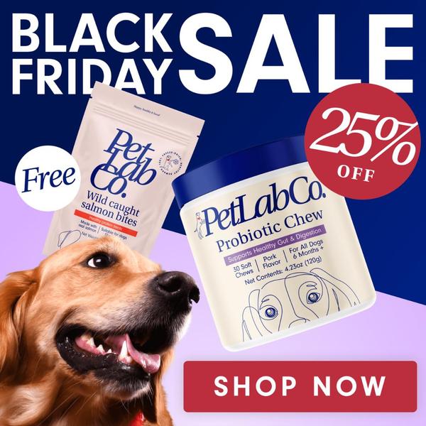 A square ad creative featuring a happy dog alongside a pet probiotic supplement and salmon treats, highlighting a 25% off Black Friday discount.